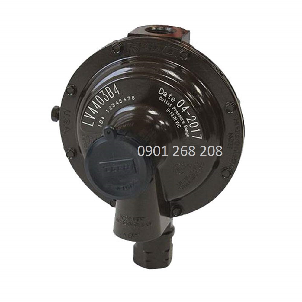 van dieu ap cap hai reog LV4403B4